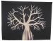 Baobab tree medium